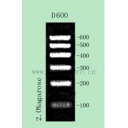 DNA Ladder D600    1.jpg