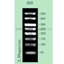 DNA Ladder D50-1.jpg