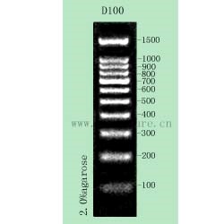 DNA Ladder D100  1.jpg
