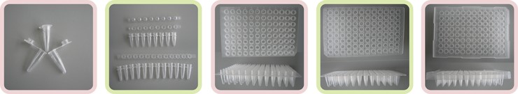 PCR管板1.jpg